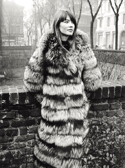 Francoise Hardy